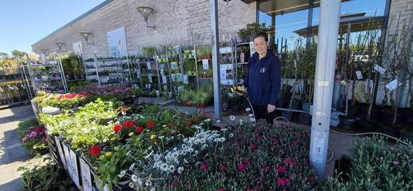 Rema 1000 Slots Bjergby byder på blomster og grønt til haven i weekenden