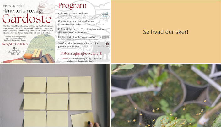 Spændende aktiviteter i Tjele denne weekend: Fokus på ost, syning og plantning