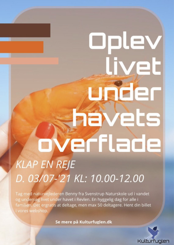 Kom helt tæt på en reje 