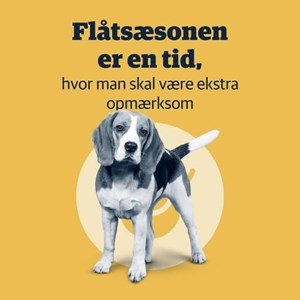 Opslagsbillede