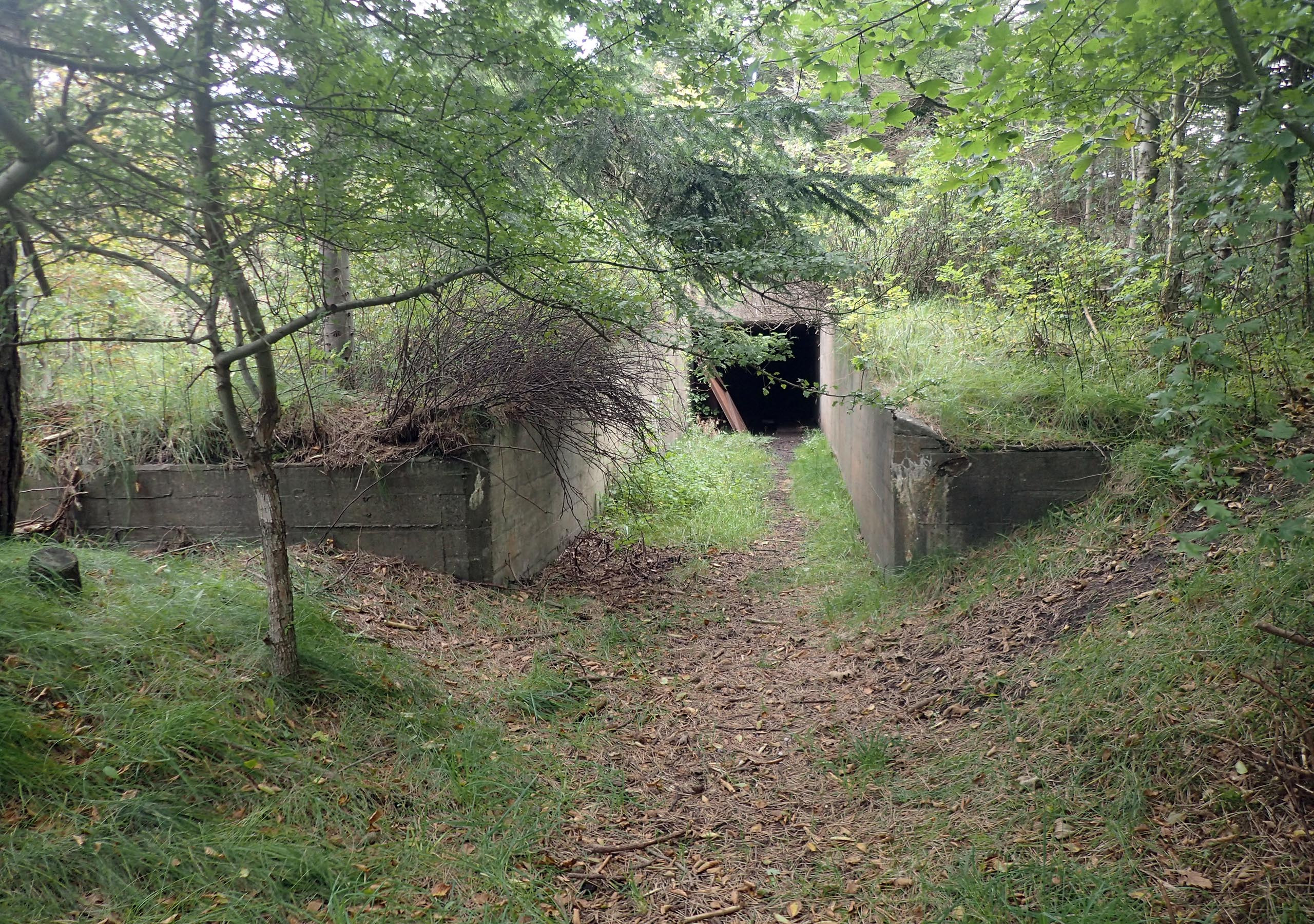 Oplev Hanstholms krigshistorie på Bunkermuseum Hanstholm