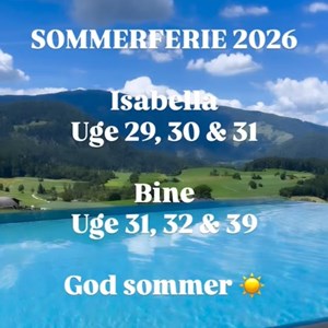 Opslagsbillede