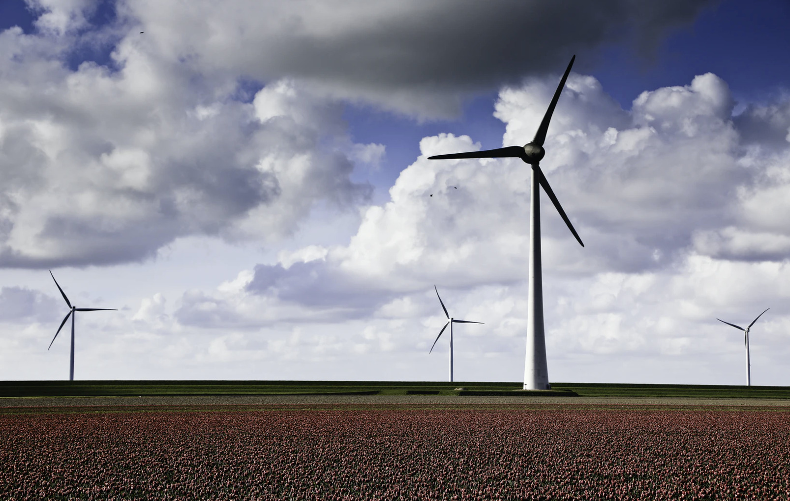 Naboer til ny solcellepark inviteres til møde