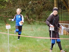 Træningsløb i Thisted: Kort og lang orientering for alle