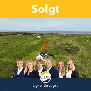 opslagsbillede