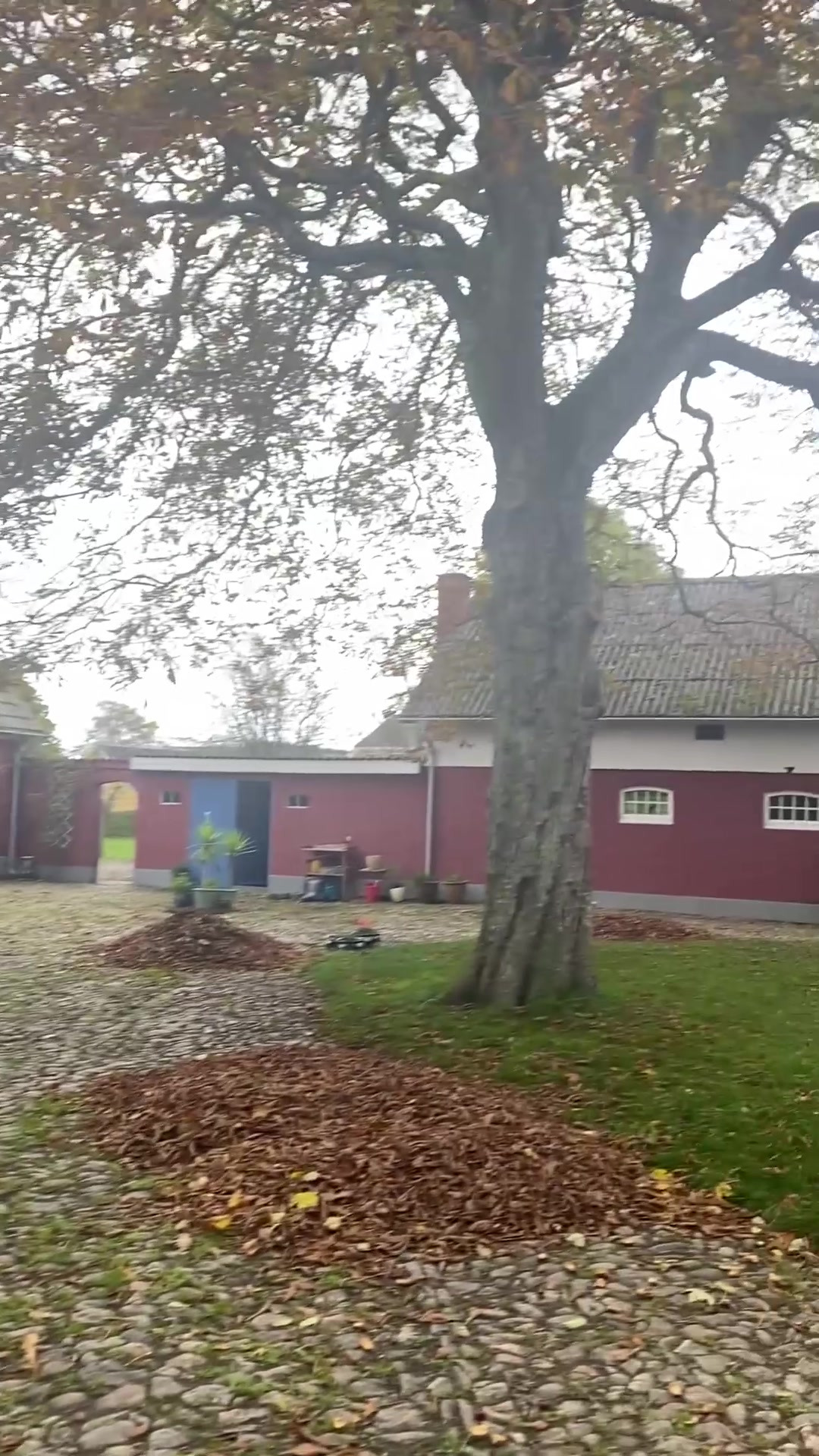 En finger på pulsen i Hals