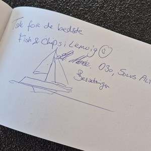 Opslagsbillede