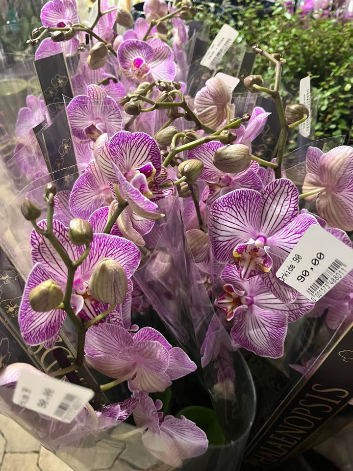 Det nyeste på Horsens’ opslagstavle