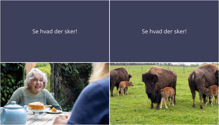 Oplev Videbæks unikke oplevelser denne weekend