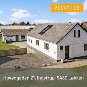 opslagsbillede