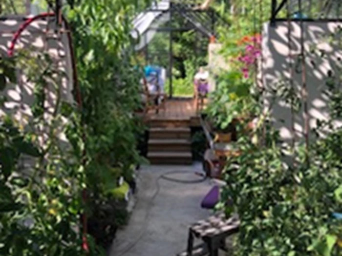 Haveselskabet Morsø, Åben have