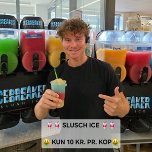 Opslagsbillede