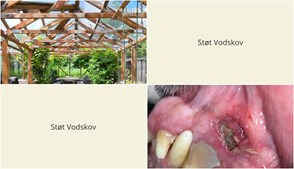 Nyt fra Mæglerhuset og Vodskov Dyreklinik v/Thorstein Arnason