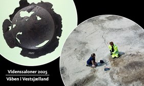 Videnssalon om våbengrave i vikingetiden på Odsherred Museum