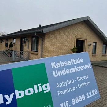 Opslagsbillede