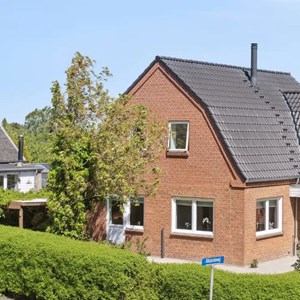 Opslagsbillede