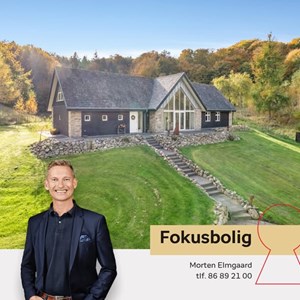 Opslagsbillede