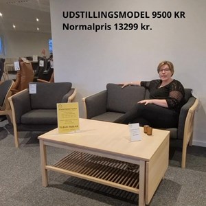Opslagsbillede