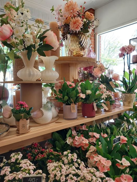 Tulipa Blomster & Havedesign holder lukket i weekenden på grund af varslede høje temperaturer