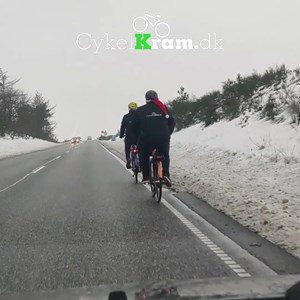 Opslagsbillede