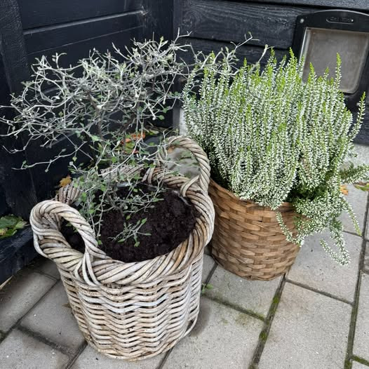 Zones By Gitte opdaterer om tekniske udfordringer med bookingsystemet