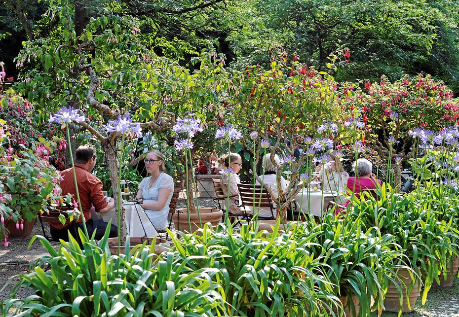 Afternoon Tea i Akademihaven: En klassisk oplevelse i Sorø