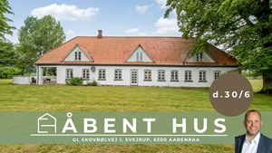 opslagsbillede