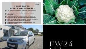 Nyt fra REMA 1000 NORDRE STRANDVEJ, Vejlby Apotek, NYTSYN Veri og 1 anden