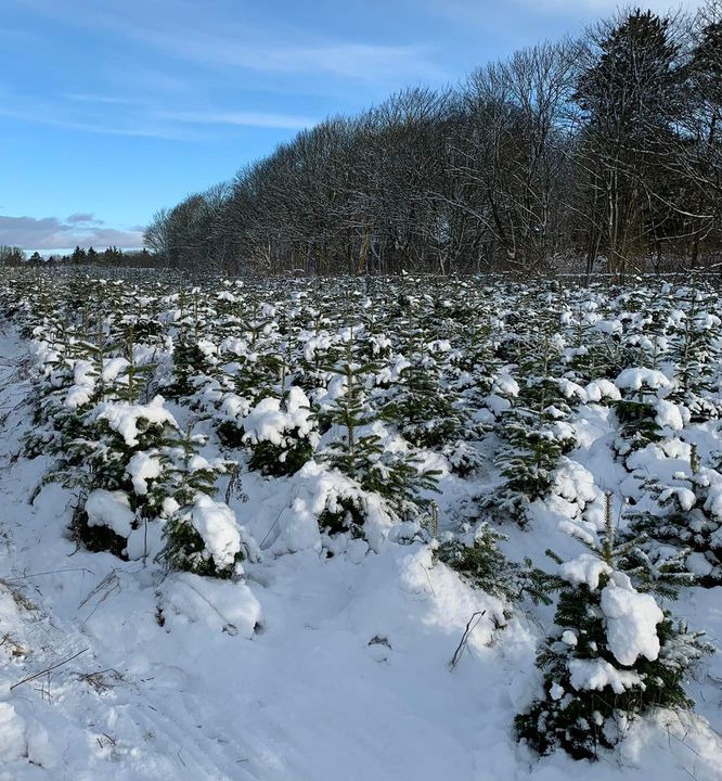Se dagens updates fra Brønderslev her
