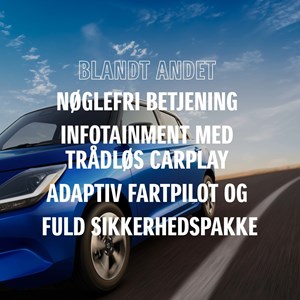 Opslagsbillede