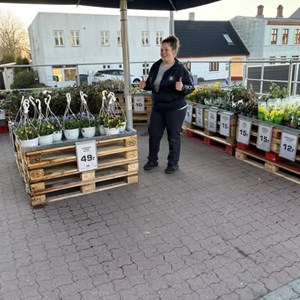 Opslagsbillede