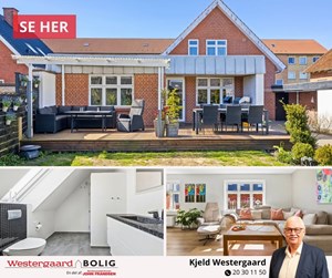 opslagsbillede