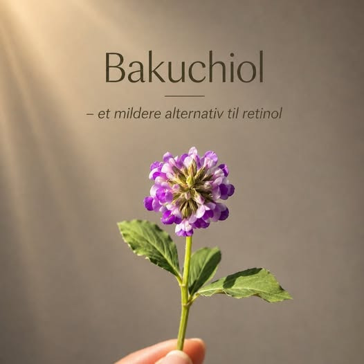 Qvist Skincare forklarer forskellen på retinol og bakuchiol