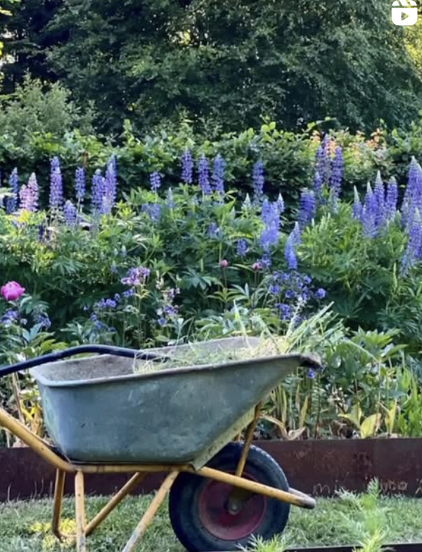 Oplev en dag med aktivitet og blomster i Skanderborg
