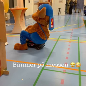 Opslagsbillede