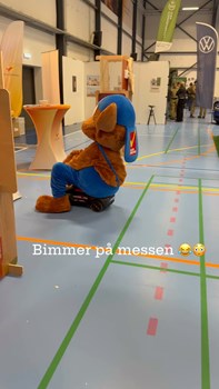 Opslagsbillede