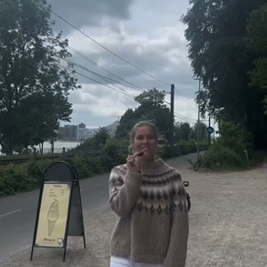 Opslagsbillede