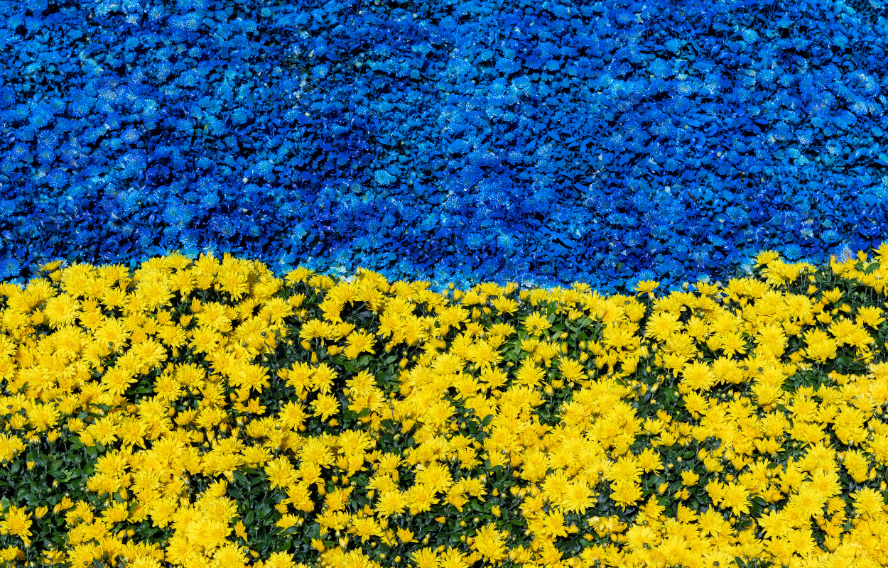 Et spørgsmål om liv eller død - hjalp ukrainske flygtninge