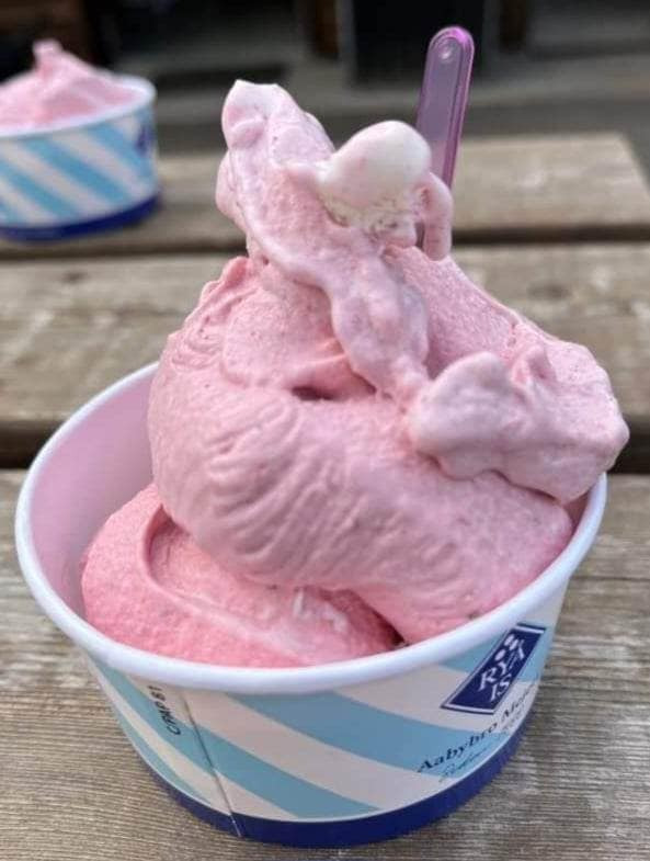 Det nyeste på Sæbys opslagstavle