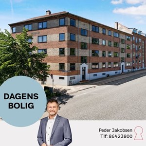 Opslagsbillede