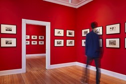 Oplev Vejle Kunstmuseums nye særudstilling "Frugtbar" med åbningsevents for både børn og voksne