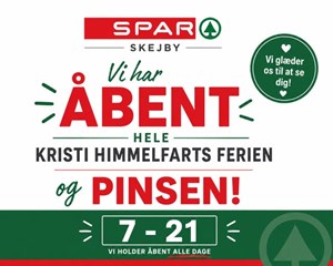 opslagsbillede