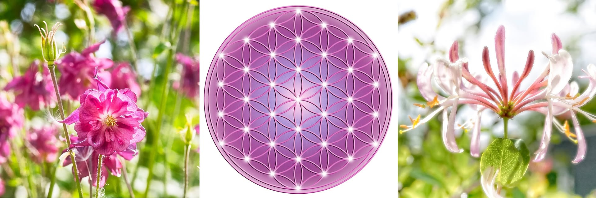 SommerMeditation inviterer til indre ro i Skive