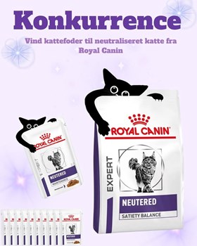 Opslagsbillede