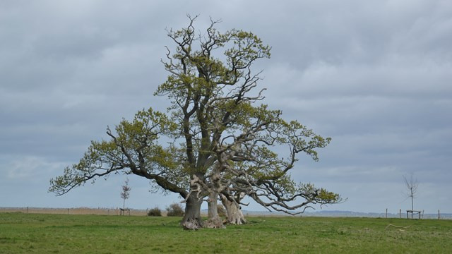 Tag på historisk vandretur på Gyllingnæs