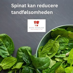 Opslagsbillede