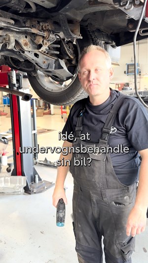 opslagsbillede
