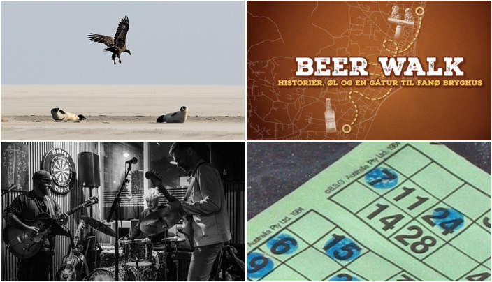 Oplev smukke Fanø: Fra sælsafari til juleblues