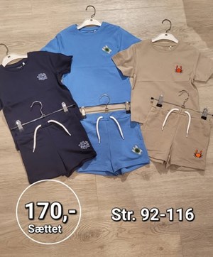 opslagsbillede