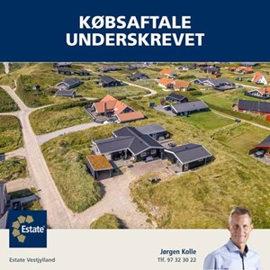 Opslagsbillede